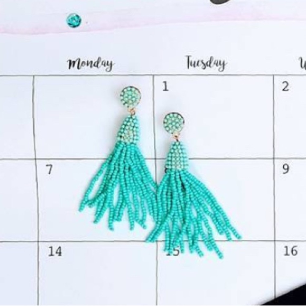 Turquoise Beaded Tassel Earrings Brand New